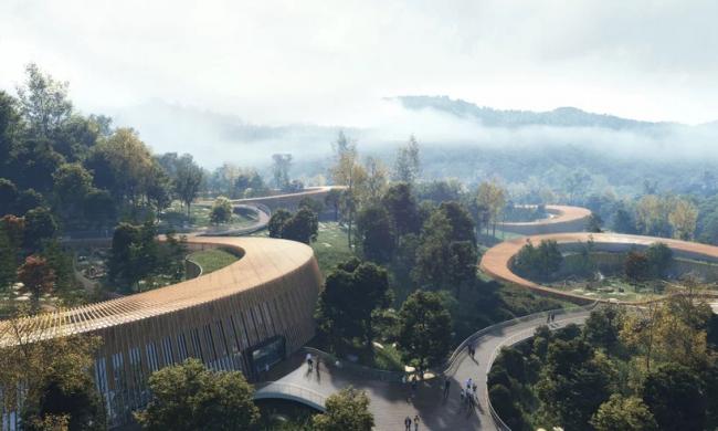 BIM建筑|成都大熊猫国际研究与繁育中心熊猫馆方案 / EID建筑事务所 BIM建筑|成都大熊猫国际研究与繁育中心熊猫馆方案 / EID建筑事务所