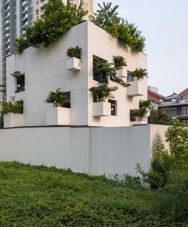 BIM建筑|天空之家,星星点点绿意营造心灵居所 / MIA Design Studio BIM建筑|天空之家,星星点点绿意营造心灵居所 / MIA Design Studio
