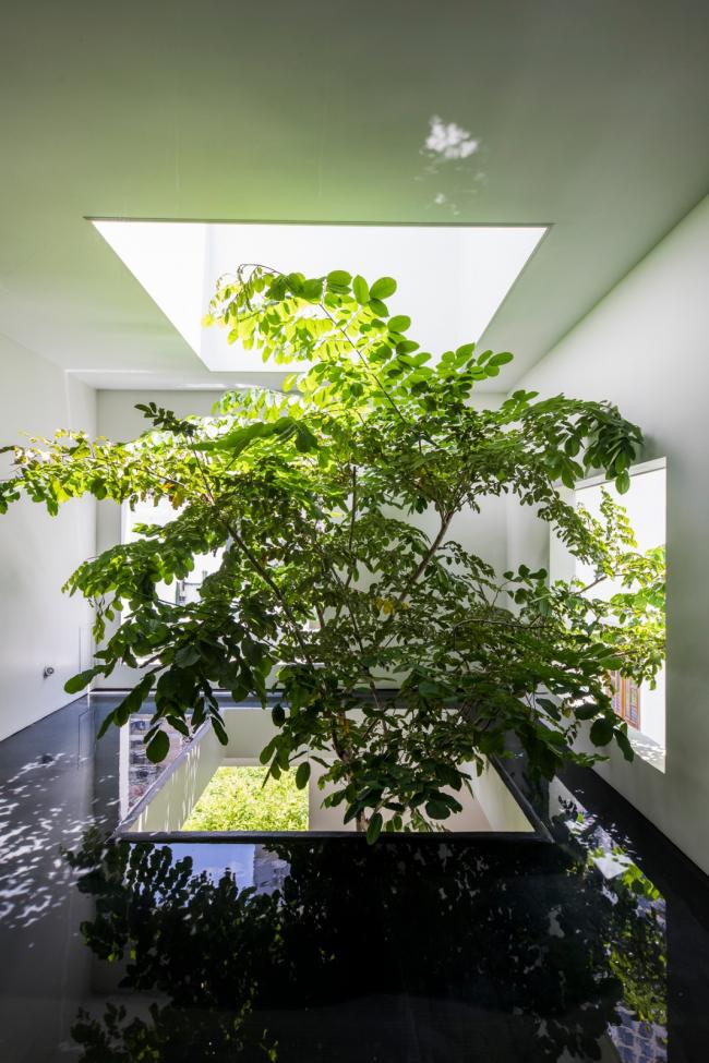 BIM建筑|天空之家,星星点点绿意营造心灵居所 / MIA Design Studio BIM建筑|天空之家,星星点点绿意营造心灵居所 / MIA Design Studio