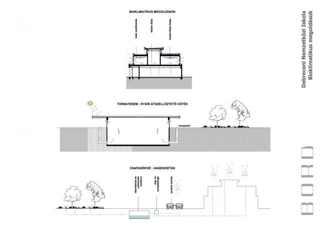BIM建筑|植入森林——德布勒森国际学校 / BORD建筑工作室 BIM建筑|植入森林——德布勒森国际学校 / BORD建筑工作室