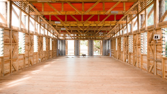 BIM建筑|MVRDV设计“盆栽植物表面”别墅 BIM建筑|MVRDV设计“盆栽植物表面”别墅