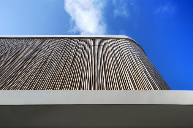 BIM建筑|热带中的现代之家:“竹帘”住宅 BIM建筑|热带中的现代之家:“竹帘”住宅