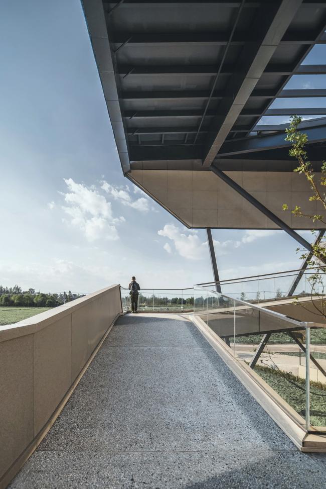 BIM建筑|大邑农科基地展示中心 / 成都天华西南建筑设计有限公司(杭州XXL设计团队) BIM建筑|大邑农科基地展示中心 / 成都天华西南建筑设计有限公司(杭州XXL设计团队)