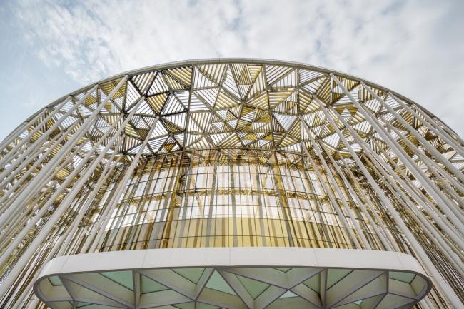 BIM建筑|“竹林”漫步:无锡太湖剧院 / SCA | Steven Chilton Architects BIM建筑|“竹林”漫步:无锡太湖剧院 / SCA | Steven Chilton Architects