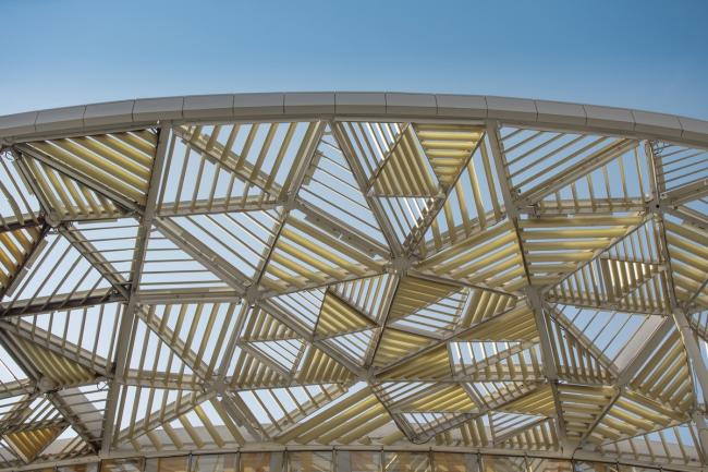 BIM建筑|“竹林”漫步:无锡太湖剧院 / SCA | Steven Chilton Architects BIM建筑|“竹林”漫步:无锡太湖剧院 / SCA | Steven Chilton Architects