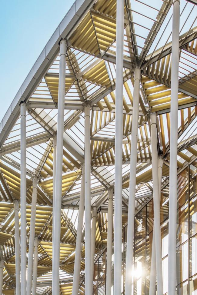 BIM建筑|“竹林”漫步:无锡太湖剧院 / SCA | Steven Chilton Architects BIM建筑|“竹林”漫步:无锡太湖剧院 / SCA | Steven Chilton Architects
