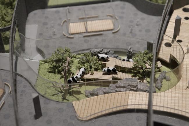 BIM建筑|天华建筑创作工作室宣布“大熊猫基地星星产房”进入施工图阶段 BIM建筑|天华建筑创作工作室宣布“大熊猫基地星星产房”进入施工图阶段