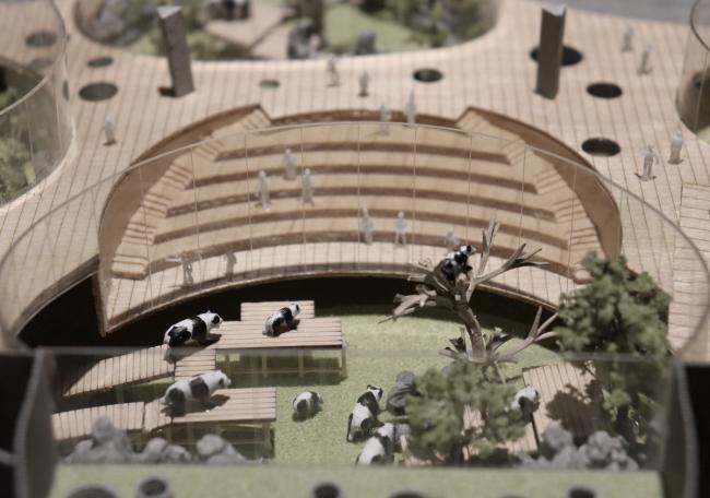 BIM建筑|天华建筑创作工作室宣布“大熊猫基地星星产房”进入施工图阶段 BIM建筑|天华建筑创作工作室宣布“大熊猫基地星星产房”进入施工图阶段