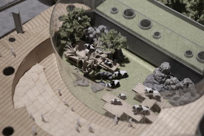 BIM建筑|天华建筑创作工作室宣布“大熊猫基地星星产房”进入施工图阶段 BIM建筑|天华建筑创作工作室宣布“大熊猫基地星星产房”进入施工图阶段
