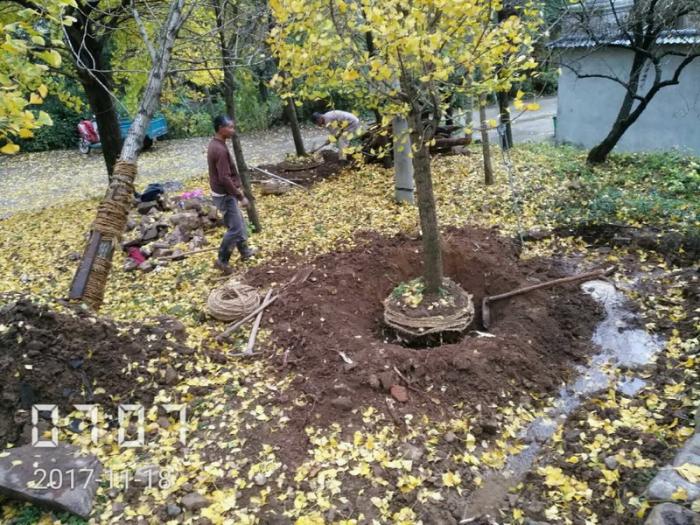 BIM建筑|安生斋居:一个家族的乡土记忆 / 予舍予筑 BIM建筑|安生斋居:一个家族的乡土记忆 / 予舍予筑