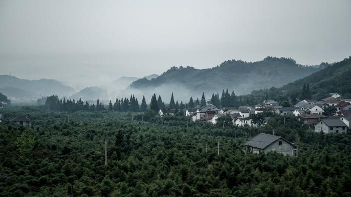 BIM建筑|远眺山麓炊烟人家——杭州偶寄精品民宿酒店 / 是合设计工作室 BIM建筑|远眺山麓炊烟人家——杭州偶寄精品民宿酒店 / 是合设计工作室
