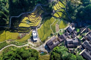 BIM建筑|2019年度最美书店——先锋厦地水田书店 / 迹·建筑事务所(TAO)-BIM建筑网