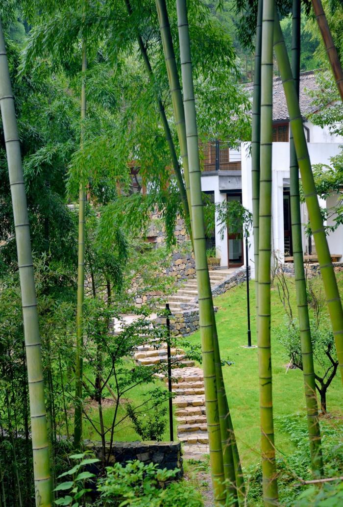 BIM建筑|杭州菩提谷度假民宿 / 中国美术学院风景建筑设计研究总院 BIM建筑|杭州菩提谷度假民宿 / 中国美术学院风景建筑设计研究总院
