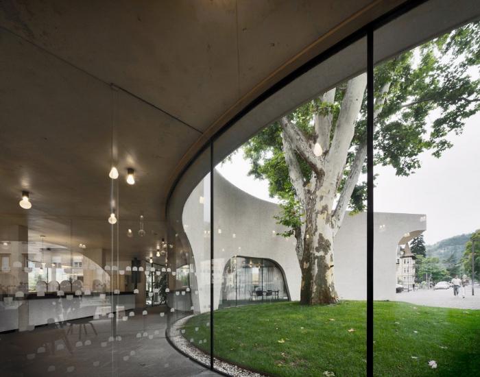 BIM建筑|融合古典,调皮地飞动——环抱老树的游客中心 / MoDusArchitects BIM建筑|融合古典,调皮地飞动——环抱老树的游客中心 / MoDusArchitects