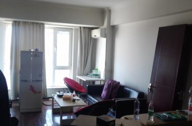 BIM建筑|46㎡北京旧房改造,90后单身女孩极简空间 / 无名创想联盟-BIM建筑网