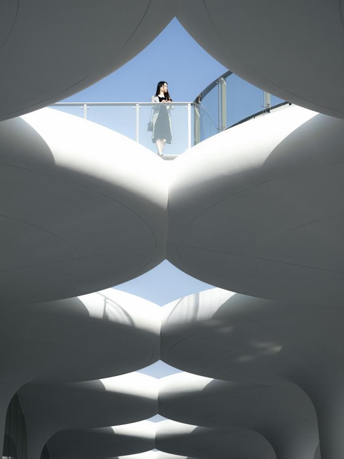 BIM建筑|消解与晕染:临平体育公园配套工程项目 / 筑境设计 BIM建筑|消解与晕染:临平体育公园配套工程项目 / 筑境设计