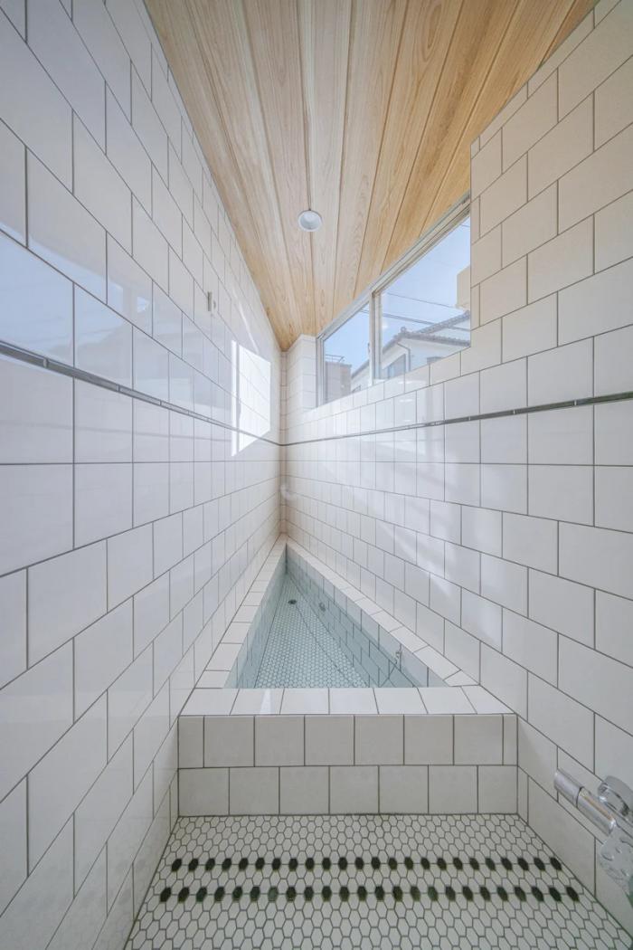 BIM建筑|陡坡屋顶和对角线展墙的三维构图:日本8.5住宅 / DOG BIM建筑|陡坡屋顶和对角线展墙的三维构图:日本8.5住宅 / DOG