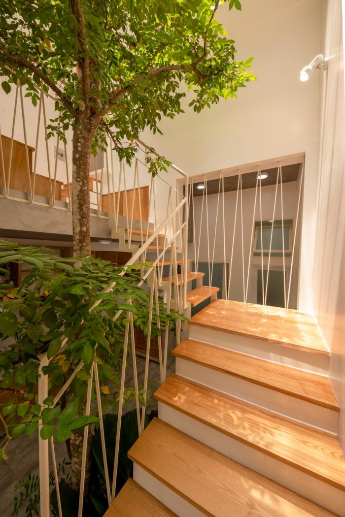 BIM建筑|夹缝中生存——越南双层屋盖住宅 BIM建筑|夹缝中生存——越南双层屋盖住宅