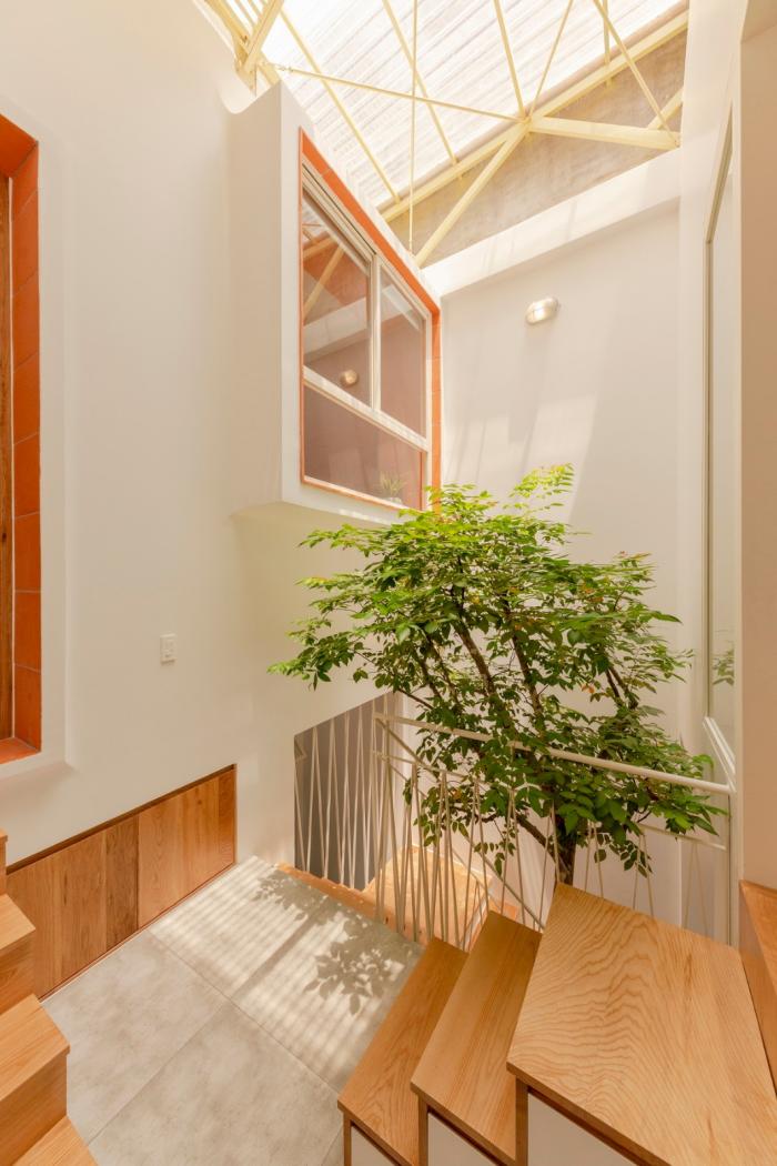 BIM建筑|夹缝中生存——越南双层屋盖住宅 BIM建筑|夹缝中生存——越南双层屋盖住宅