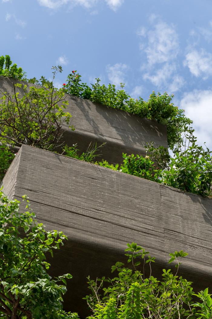 BIM建筑|错动“跳舞”的空中花园:越南联排住宅 BIM建筑|错动“跳舞”的空中花园:越南联排住宅