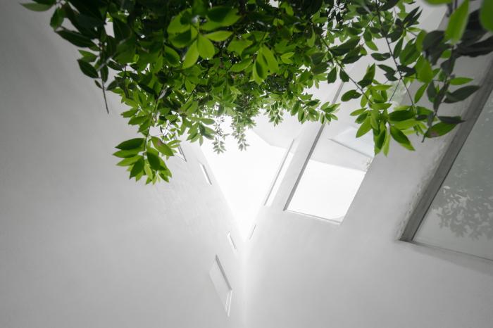 BIM建筑|风景万画筒 - 陆宅 / ams元秀万建筑事务所 BIM建筑|风景万画筒 - 陆宅 / ams元秀万建筑事务所