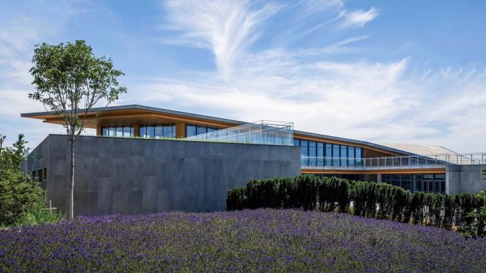 BIM建筑|大地之痕:七色山矿坑花园游客中心 / UUA建筑师事务所 BIM建筑|大地之痕:七色山矿坑花园游客中心 / UUA建筑师事务所