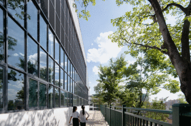 BIM建筑|校园再生,半山半校:云南玉溪生态实验小学 / 思序设计-BIM建筑网