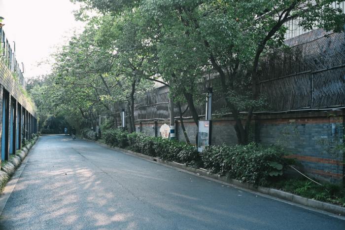 BIM建筑|上海街道适应性改造纪实 / 予舍予筑 BIM建筑|上海街道适应性改造纪实 / 予舍予筑