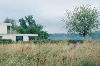 BIM建筑|苏黎世葡萄园住宅,伫于世外隐居之境 / Think Architecture-BIM建筑网