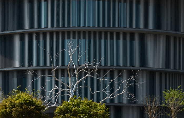 BIM建筑|安藤忠雄“和美术馆”将于国庆开放:岭南文化与空间融合 BIM建筑|安藤忠雄“和美术馆”将于国庆开放:岭南文化与空间融合