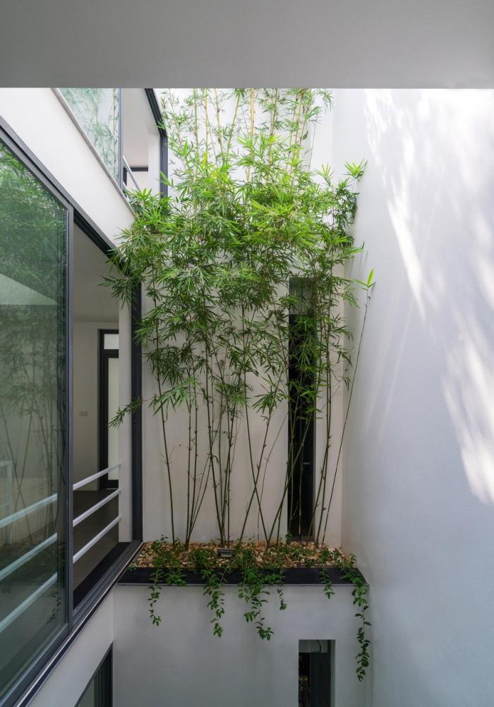 BIM建筑|越南“林中住宅” / Nguyen Khac Phuoc Architects BIM建筑|越南“林中住宅” / Nguyen Khac Phuoc Architects