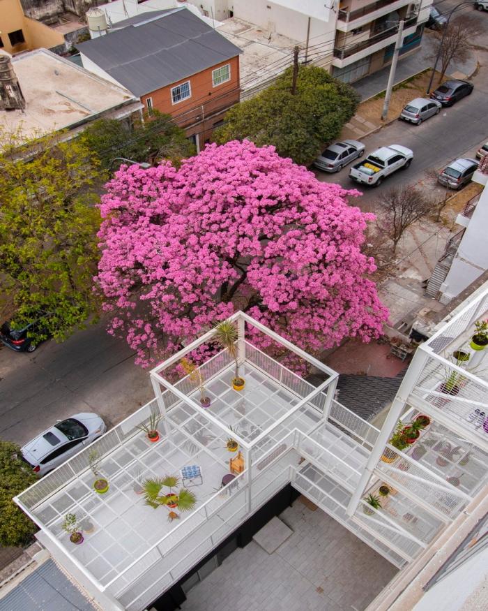 BIM建筑|卡塔马卡公寓,以诗与艺术点缀空白 / Carlos Alejandro Ciravegna BIM建筑|卡塔马卡公寓,以诗与艺术点缀空白 / Carlos Alejandro Ciravegna