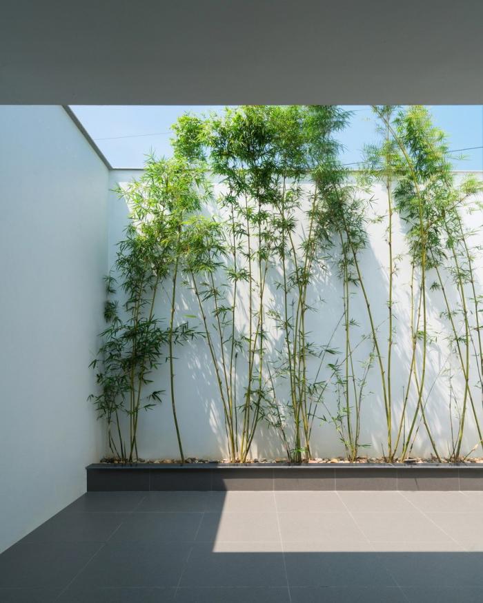 BIM建筑|越南“林中住宅” / Nguyen Khac Phuoc Architects BIM建筑|越南“林中住宅” / Nguyen Khac Phuoc Architects