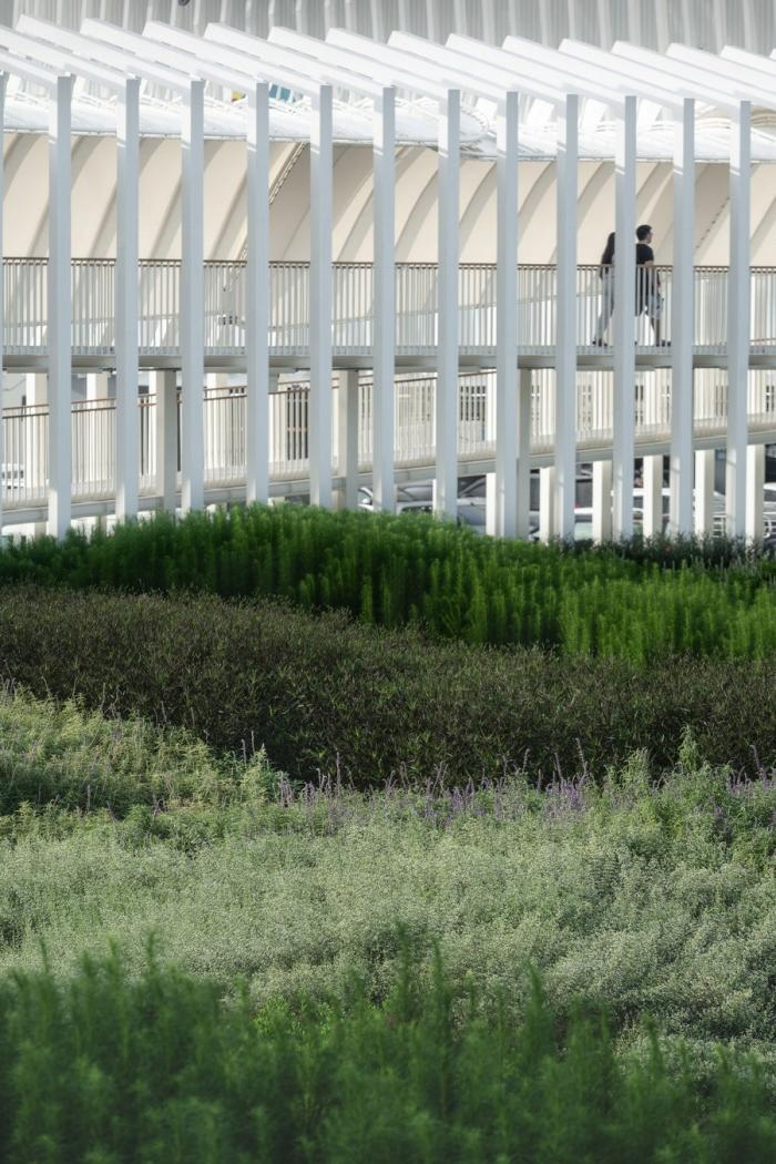BIM建筑|泰国超级公园 / Architectkidd BIM建筑|泰国超级公园 / Architectkidd