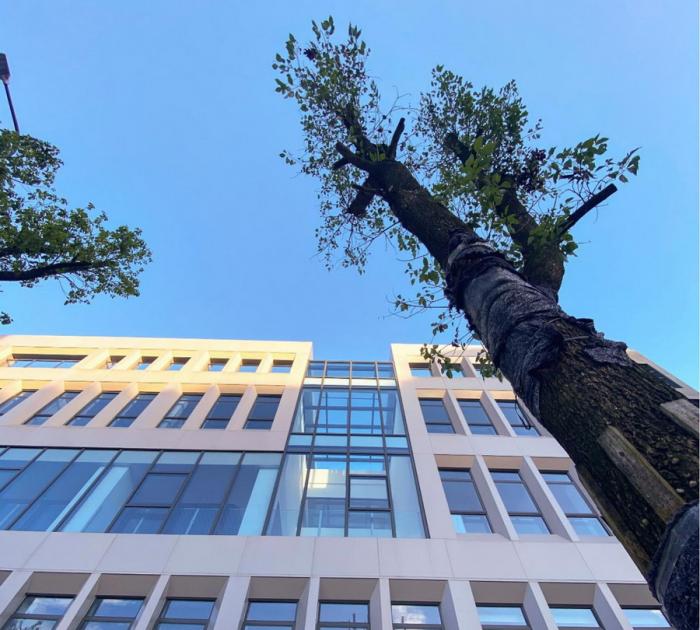 BIM建筑|深圳宝安区航城社区健康服务中心 / 深圳中海世纪建筑设计有限公司 BIM建筑|深圳宝安区航城社区健康服务中心 / 深圳中海世纪建筑设计有限公司