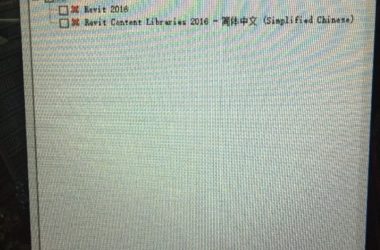BIM问答|Revit2016这两个为啥卸载不掉-BIM建筑网