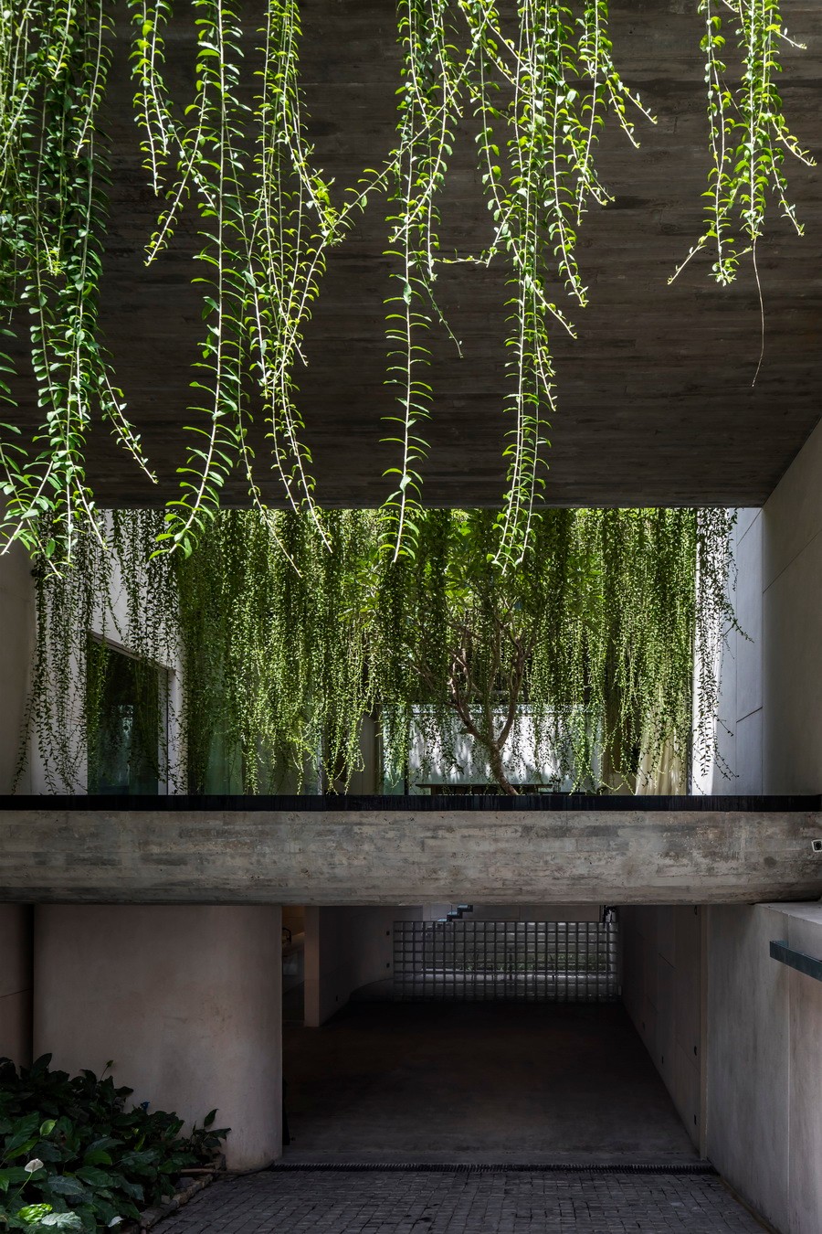 BIM建筑|越南Tan Dinh住宅,简居于“桥上” / MIA Design Studio BIM建筑|越南Tan Dinh住宅,简居于“桥上” / MIA Design Studio