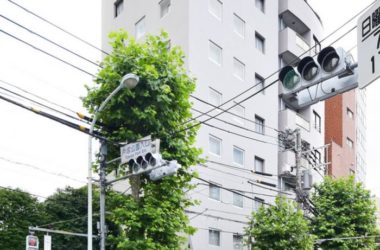 BIM建筑|新宿灯塔宅,消弥公共与私密的界线 / YSLA Architects-BIM建筑网