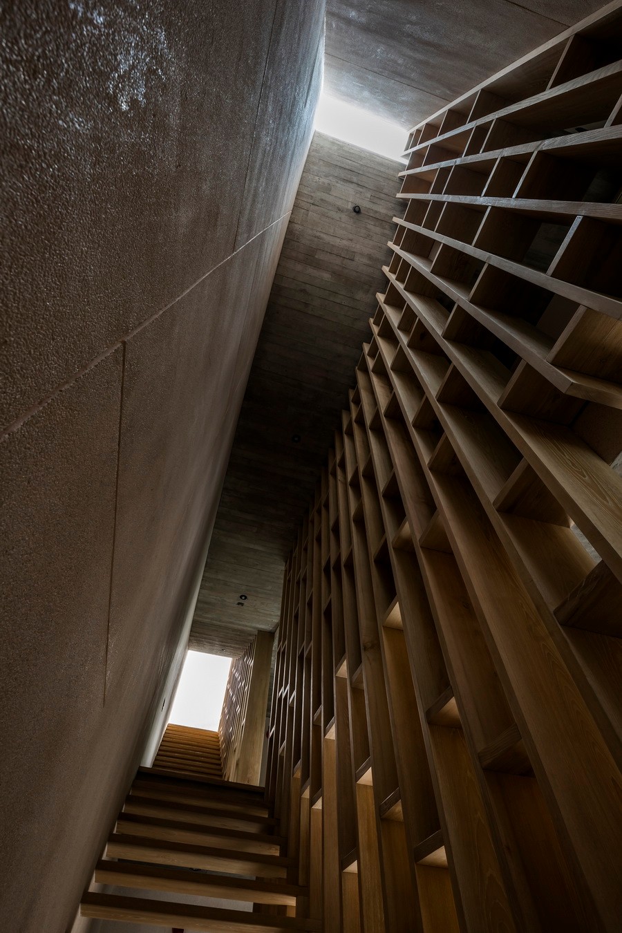 BIM建筑|越南Tan Dinh住宅,简居于“桥上” / MIA Design Studio BIM建筑|越南Tan Dinh住宅,简居于“桥上” / MIA Design Studio