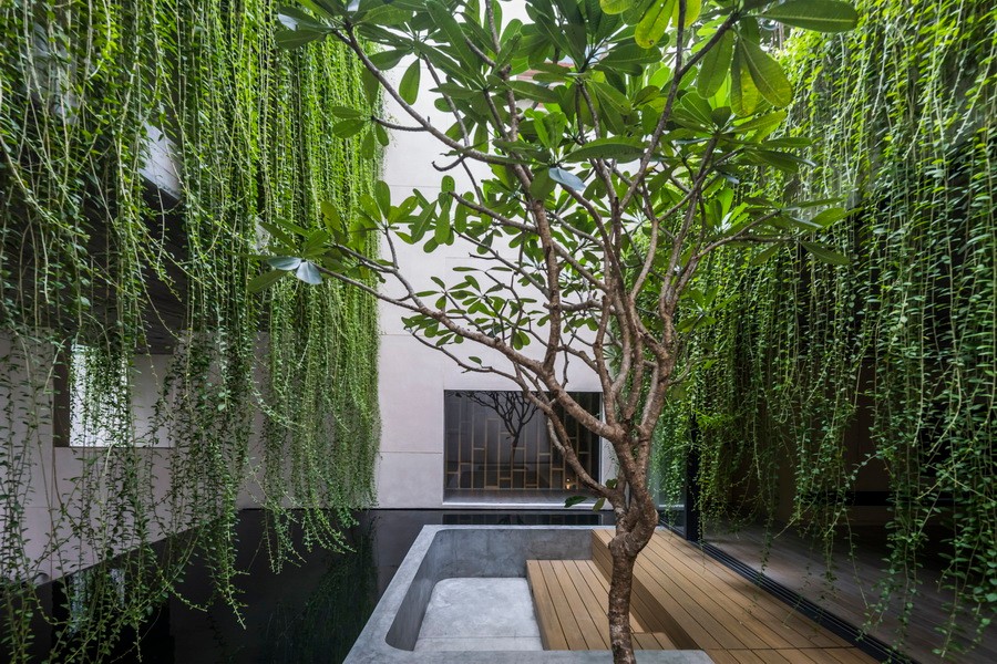 BIM建筑|越南Tan Dinh住宅,简居于“桥上” / MIA Design Studio BIM建筑|越南Tan Dinh住宅,简居于“桥上” / MIA Design Studio