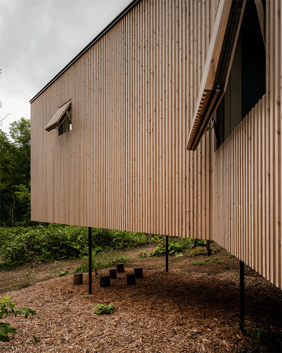 BIM建筑|北海道森林小屋,延伸的“触角” / Florian Busch Architects BIM建筑|北海道森林小屋,延伸的“触角” / Florian Busch Architects