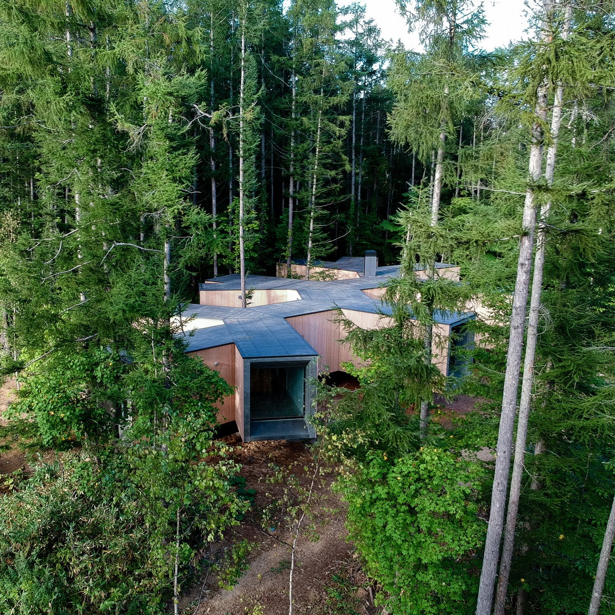 BIM建筑|北海道森林小屋,延伸的“触角” / Florian Busch Architects BIM建筑|北海道森林小屋,延伸的“触角” / Florian Busch Architects