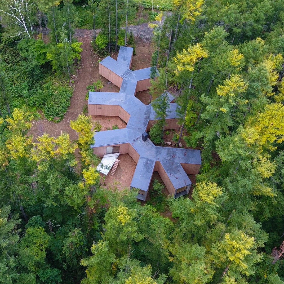 BIM建筑|北海道森林小屋,延伸的“触角” / Florian Busch Architects BIM建筑|北海道森林小屋,延伸的“触角” / Florian Busch Architects