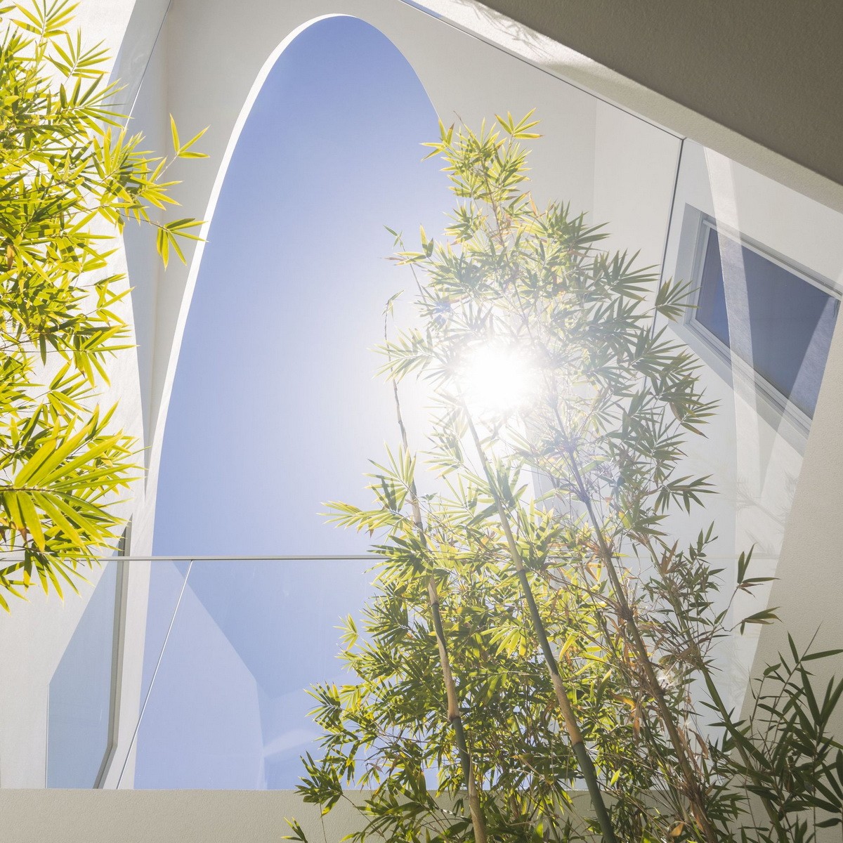 BIM建筑|葡萄牙 Dorfler 住宅,大胆而优雅的曲线 / Vitor Vilhena Arquitectura BIM建筑|葡萄牙 Dorfler 住宅,大胆而优雅的曲线 / Vitor Vilhena Arquitectura
