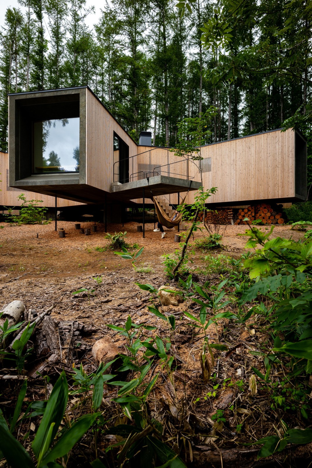 BIM建筑|北海道森林小屋,延伸的“触角” / Florian Busch Architects BIM建筑|北海道森林小屋,延伸的“触角” / Florian Busch Architects