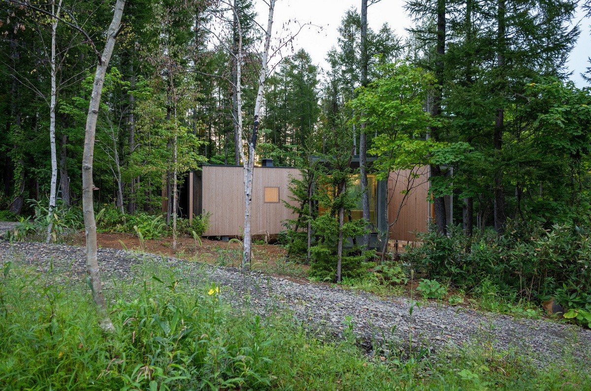 BIM建筑|北海道森林小屋,延伸的“触角” / Florian Busch Architects BIM建筑|北海道森林小屋,延伸的“触角” / Florian Busch Architects