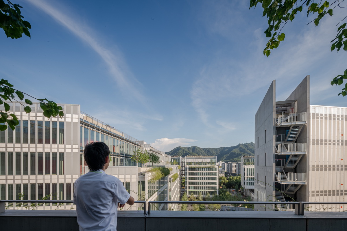 BIM建筑|goa大象设计办公总部 / goa大象设计 BIM建筑|goa大象设计办公总部 / goa大象设计