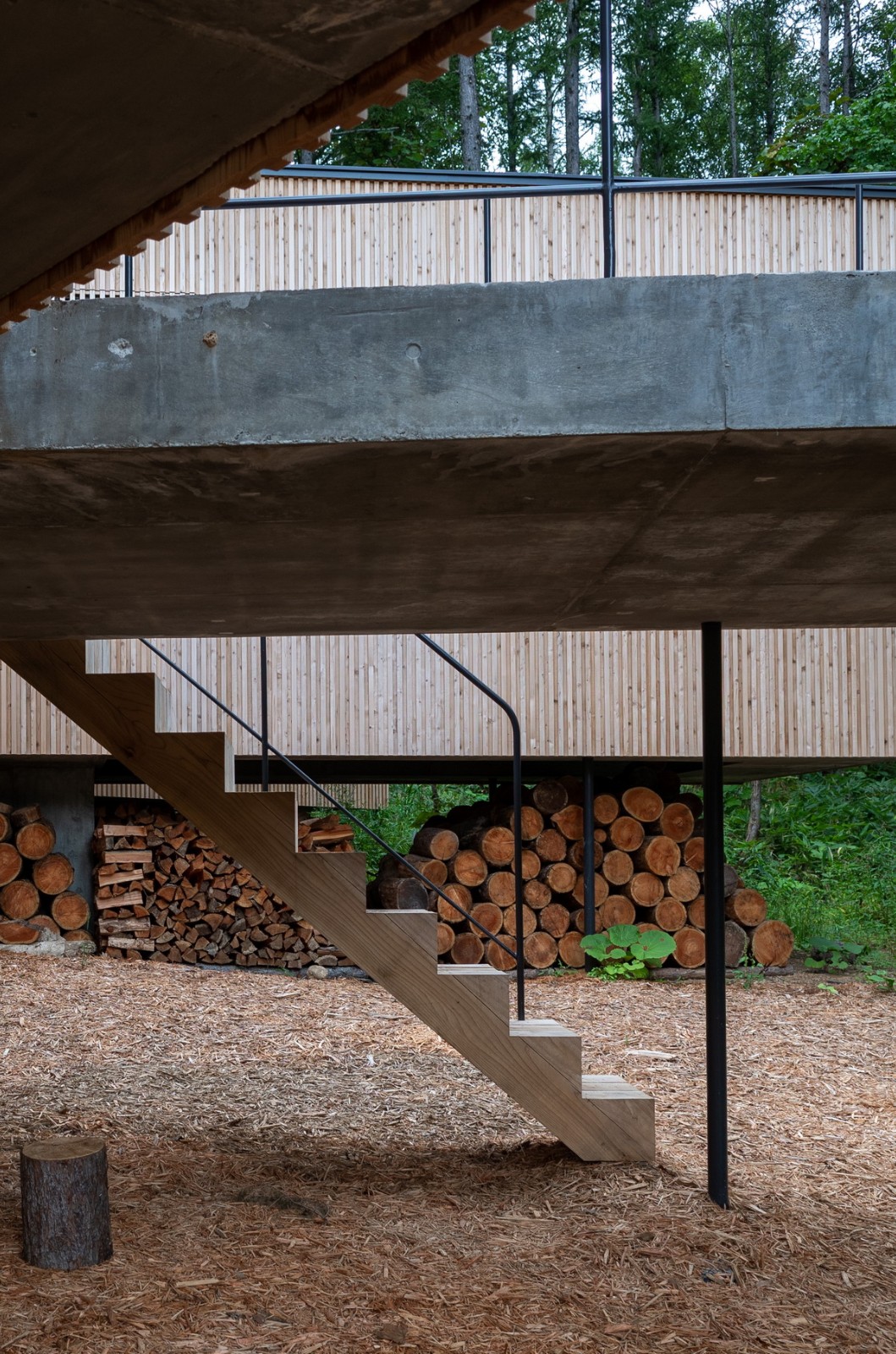 BIM建筑|北海道森林小屋,延伸的“触角” / Florian Busch Architects BIM建筑|北海道森林小屋,延伸的“触角” / Florian Busch Architects