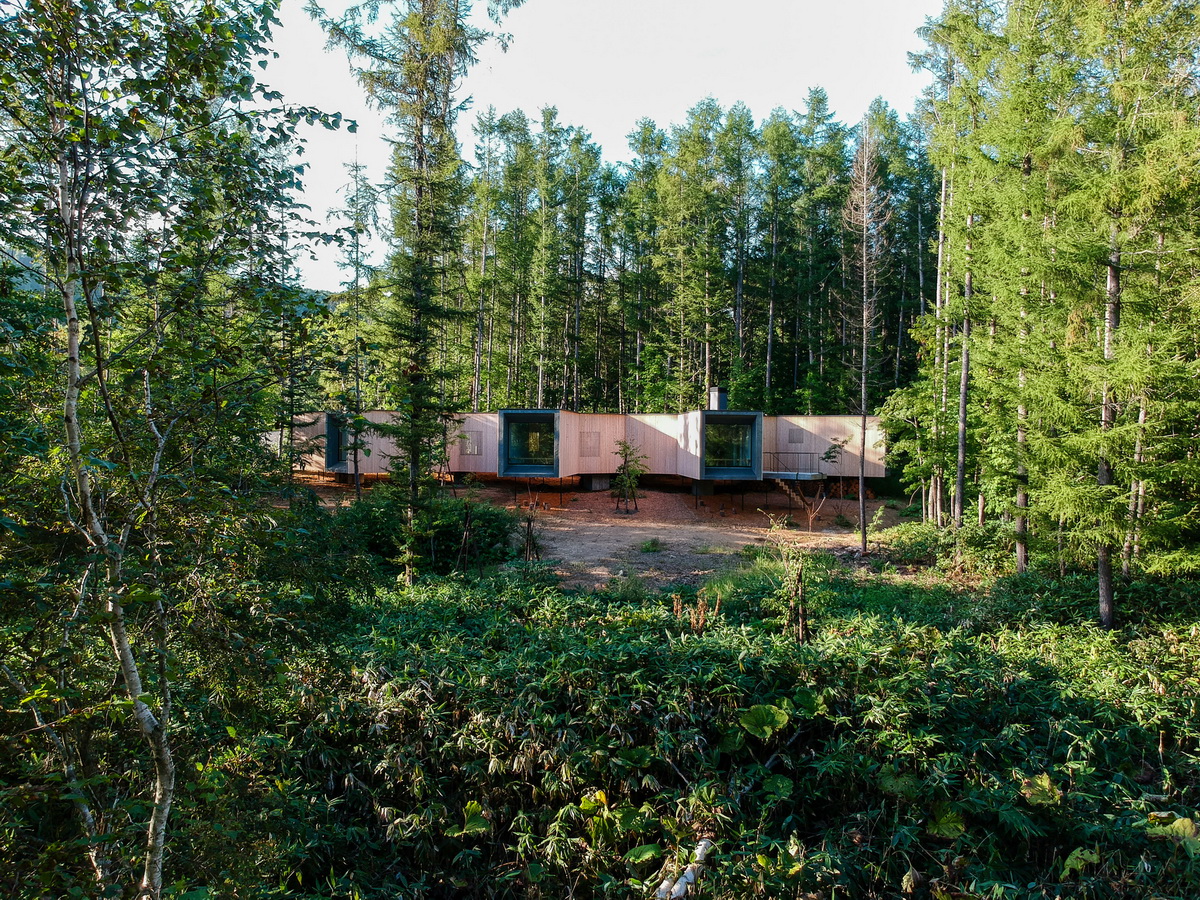 BIM建筑|北海道森林小屋,延伸的“触角” / Florian Busch Architects BIM建筑|北海道森林小屋,延伸的“触角” / Florian Busch Architects