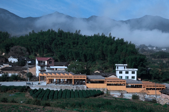 BIM建筑|DnA工作室在中国山区建造木材豆腐厂 BIM建筑|DnA工作室在中国山区建造木材豆腐厂